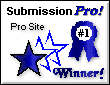 Submission Pro Site Winner